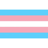 PRIDE - TRANSEXUAL FLAG 90 X 150